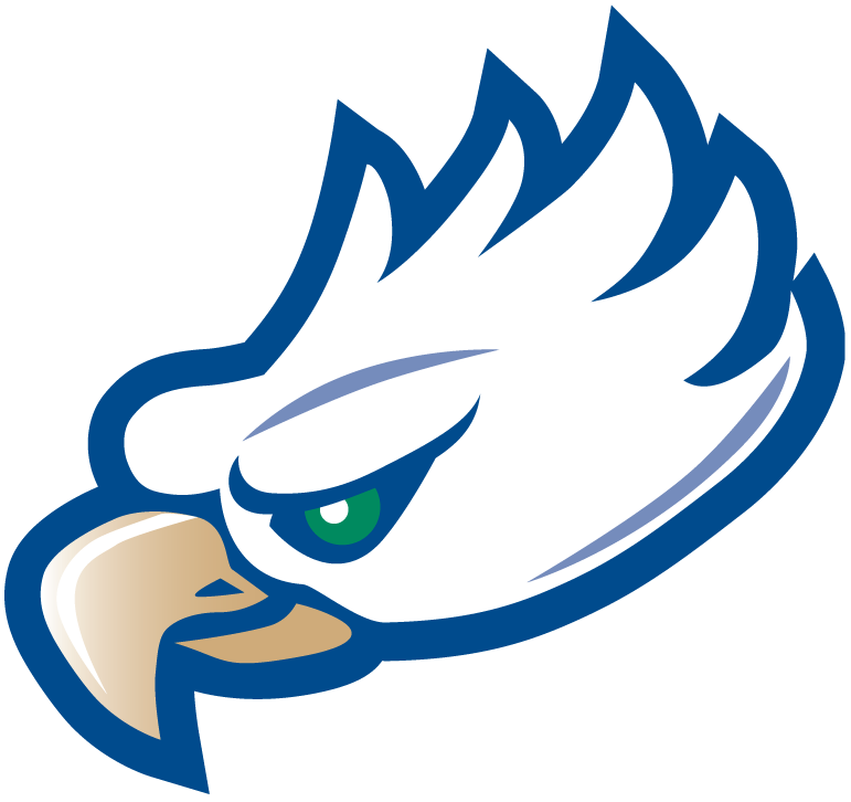 Florida Gulf Coast Eagles 2002-Pres Partial Logo t shirts iron on transfers